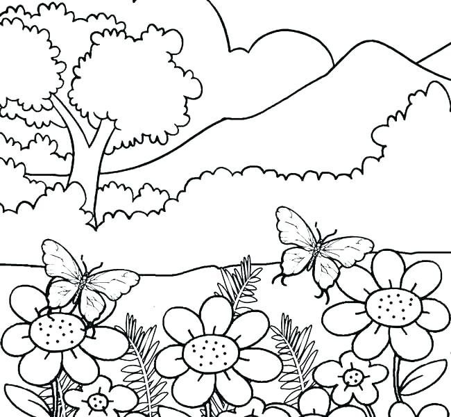 Adult Nature Coloring Sheets Coloring Pages For Adults Nature 650x600 Adult Nature Coloring Sheets Coloring Pages For Adults Nature