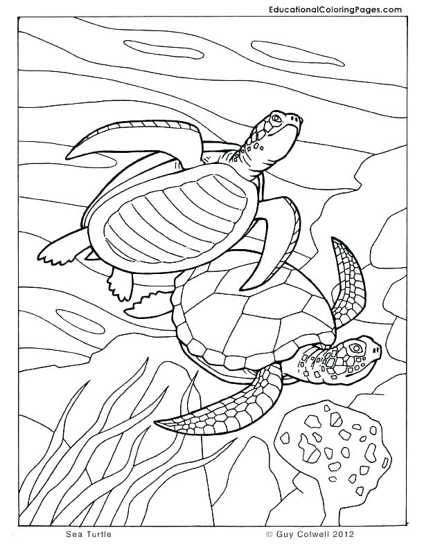 Seashore Coloring Pages Free Bliss Seashore Coloring Book Your 612x792 Seashore Coloring Pages Free Bliss Seashore Coloring Book Your