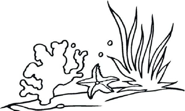 600x362 Seaweed Coloring Pages Coloring Pages Seaweed Pics Seaweed