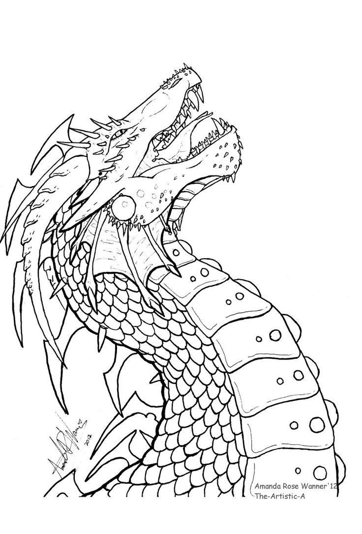 736x1086 Dragon Head Cute Dragons To Color Dragon Head