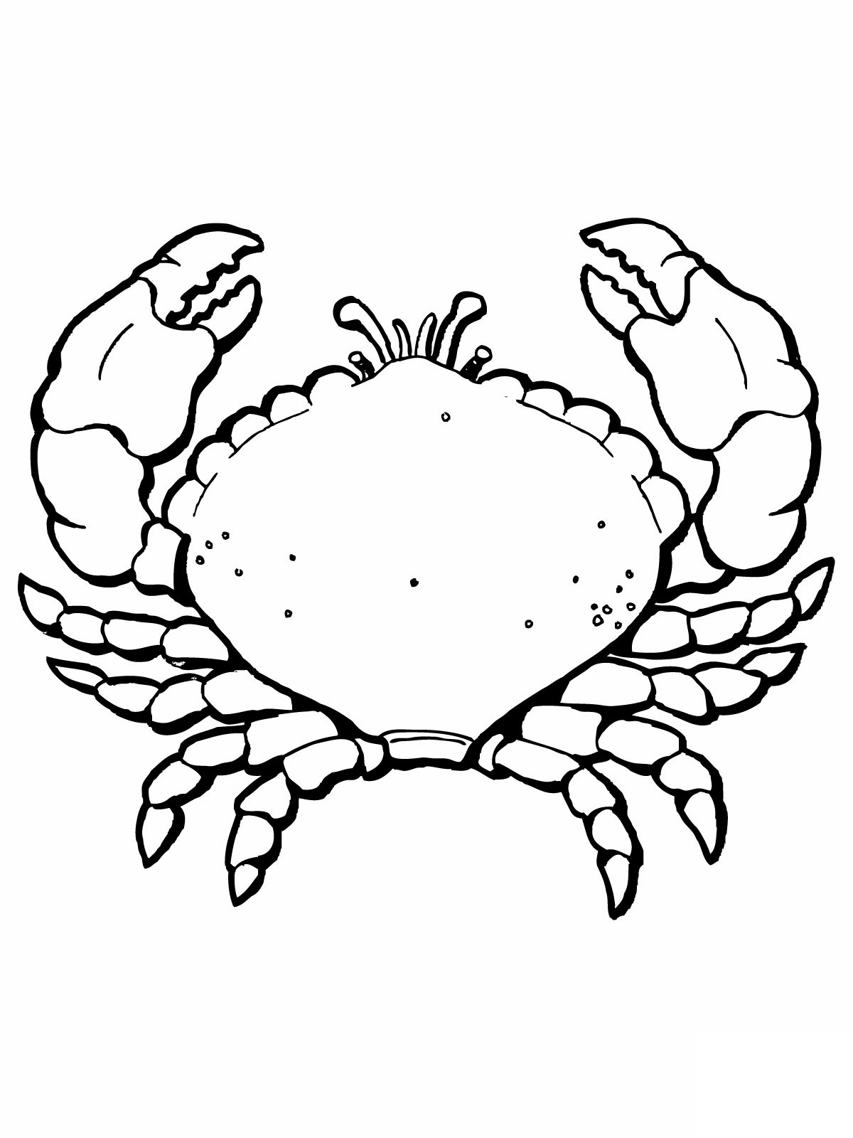 1200x1600 Free Printable Crab Coloring Pages For Kids
