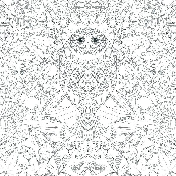Secret Garden Coloring Book Pages Enchanted Forest Spread Secret 600x600 Secret Garden Coloring Book Pages Enchanted Forest Spread Secret