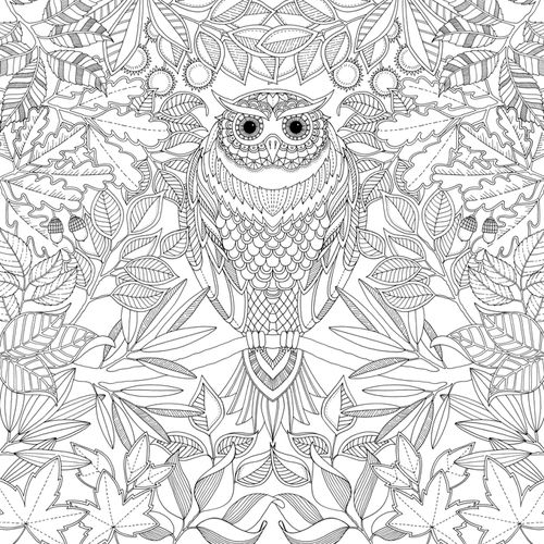 By Scottish Artist Johanna Basford In Her Secret Garden Coloring 500x500 By Scottish Artist Johanna Basford In Her Secret Garden Coloring
