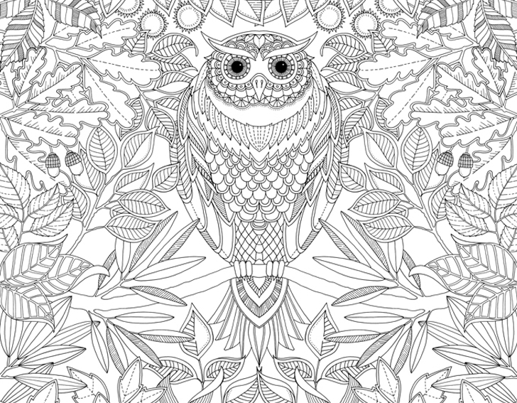 Coloring Book Adult Unleash Your Inner Child With Johanna Basfords 728x567 Coloring Book Adult Unleash Your Inner Child With Johanna Basfords