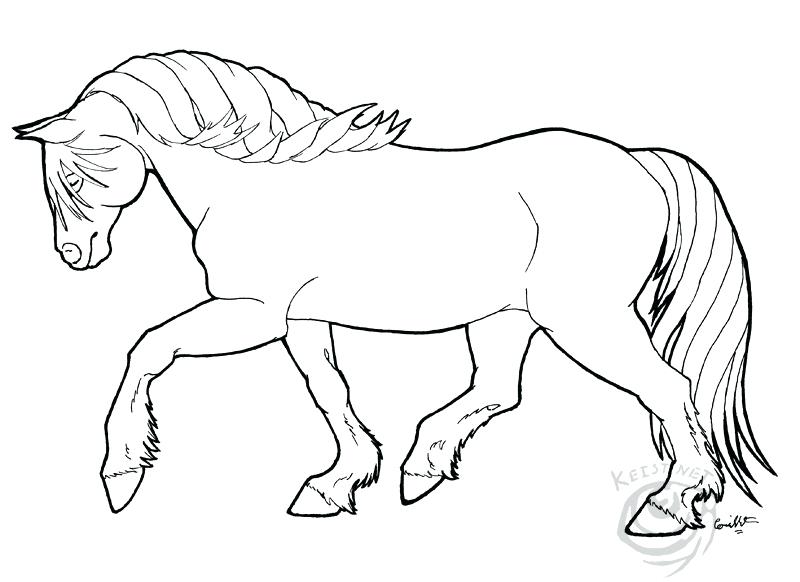 800x582 Coloring Page By On Morgan Horse Coloring Pages Coloring Page By