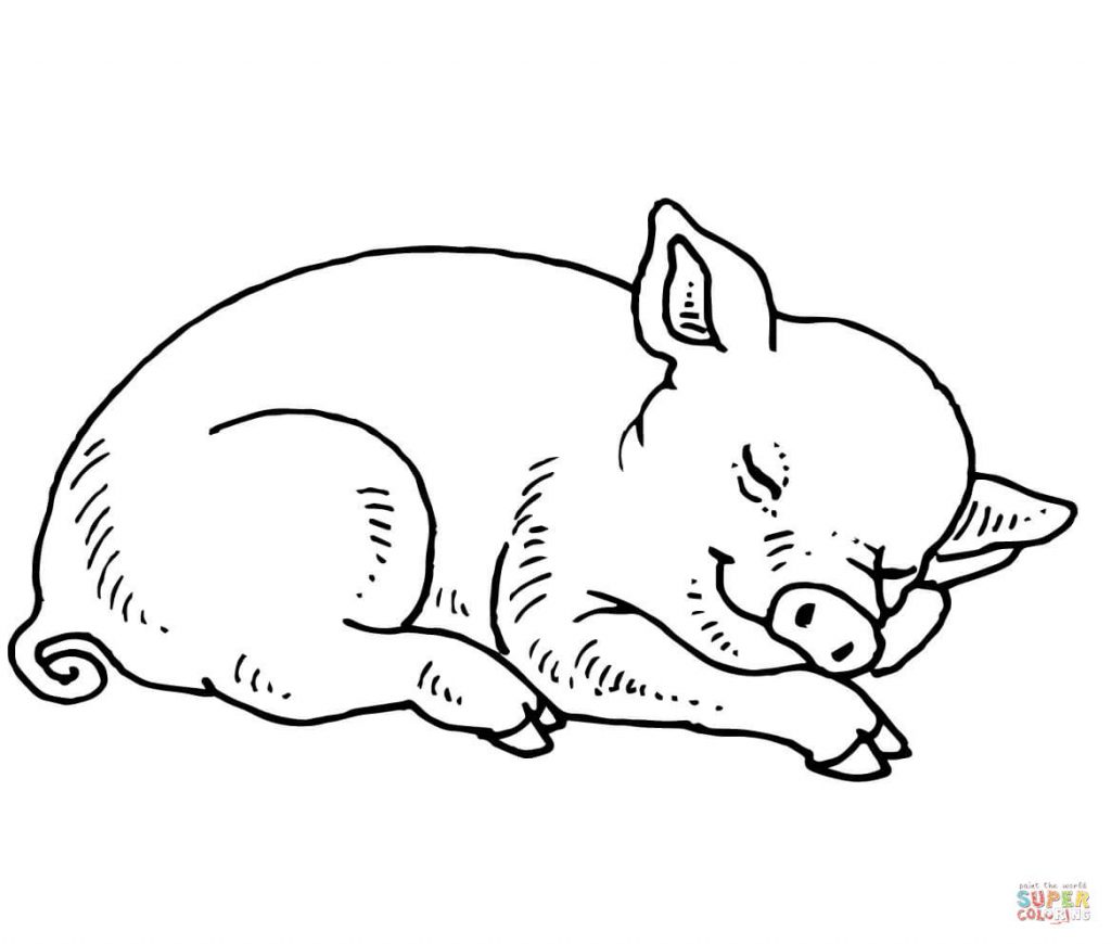 Pig Coloring Pages 1024x870 Pig Coloring Pages