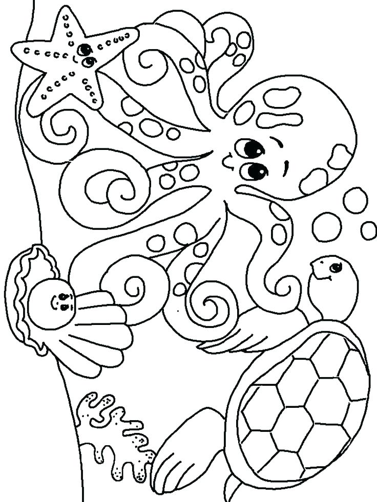736x981 Clam Coloring Page Clam Coloring Page Coloring Pages Sea Animals