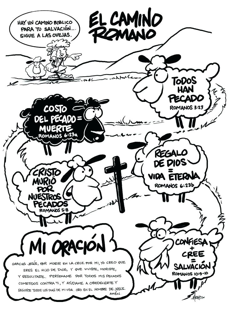 736x995 Jesus Sermon On The Mount Coloring Page Best Transfiguration