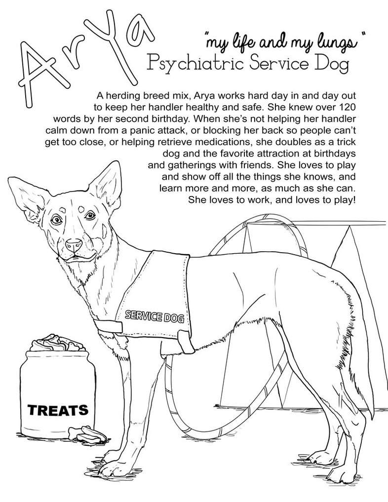 Arya The Service Dog 786x1017 Arya The Service Dog