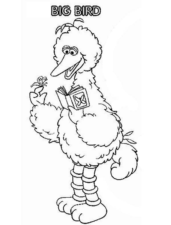 Sesame Street Character Big Bird Coloring Page Color Luna 600x786 Sesame Street Character Big Bird Coloring Page Color Luna