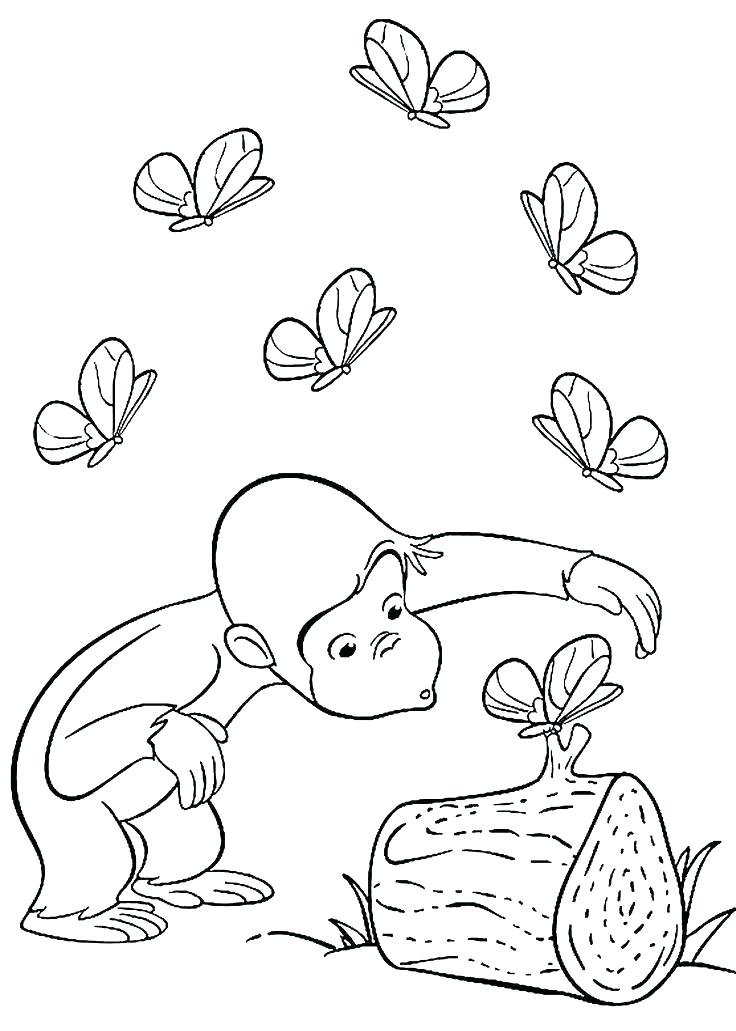 736x1031 George Coloring Pages Curious Ornament George Monkey Coloring
