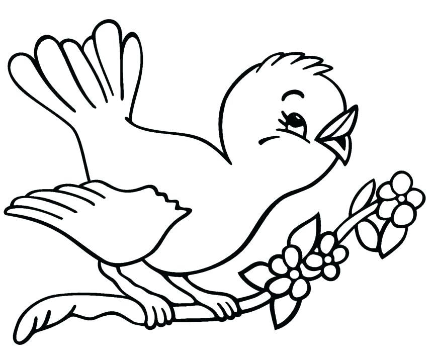 863x716 Bird Watchers General Store Cardinal Coloring Pictures Bird
