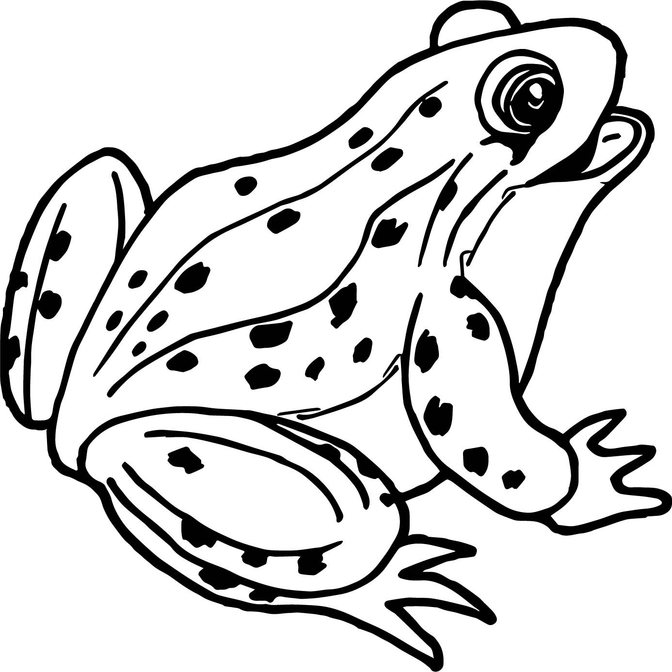 1386x1386 Authentic Frog Coloring Pages Funny Queen Prin