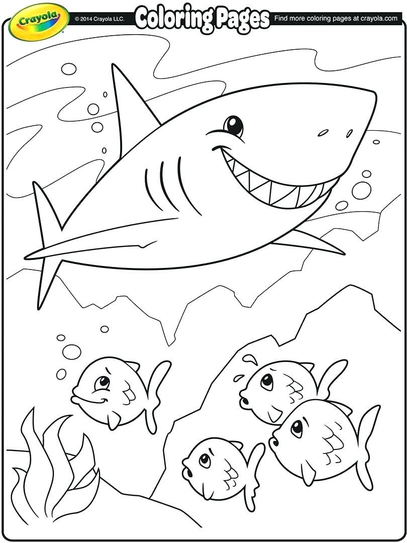 810x1080 Coloring Page ~ 49ers Coloring Pages Of Sharks And Sf 49ers