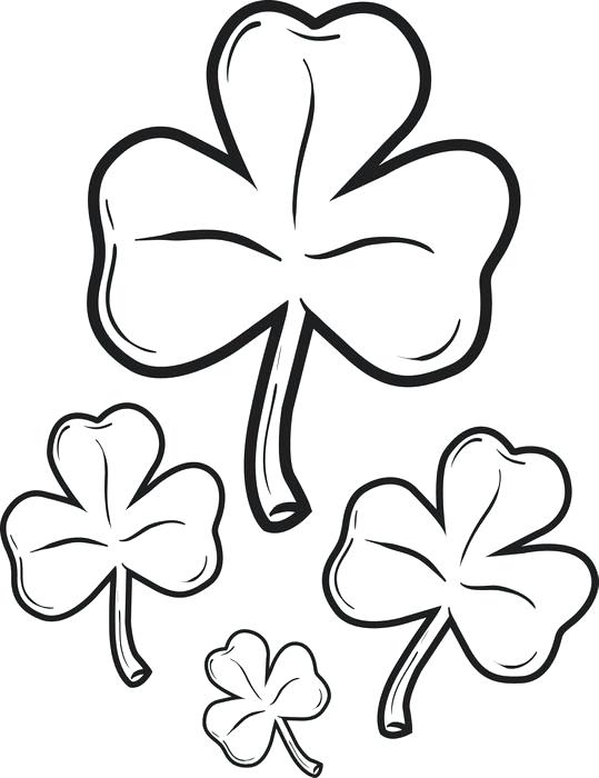 539x700 Shamrocks Coloring Pages Shamrocks Printable Coloring Page