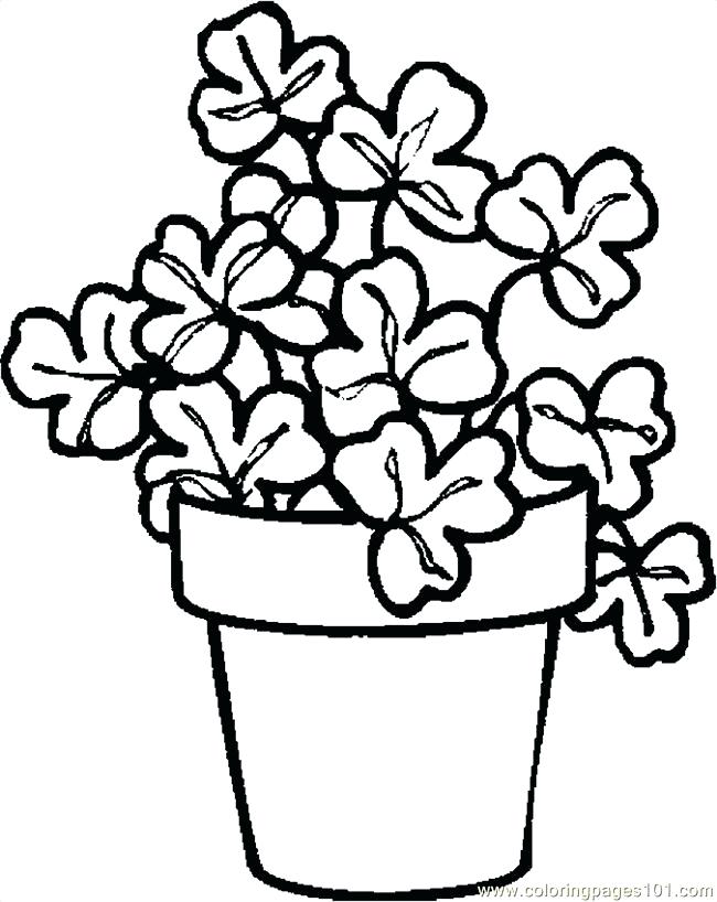 Free Shamrock Coloring Pages Download This Coloring Page Free 650x818 Free Shamrock Coloring Pages Download This Coloring Page Free