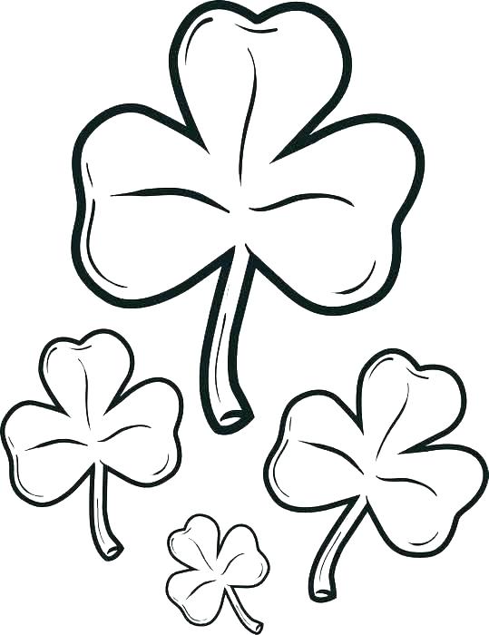 539x700 Free Shamrock Coloring Pages Printable Shamrocks Holy Trinity