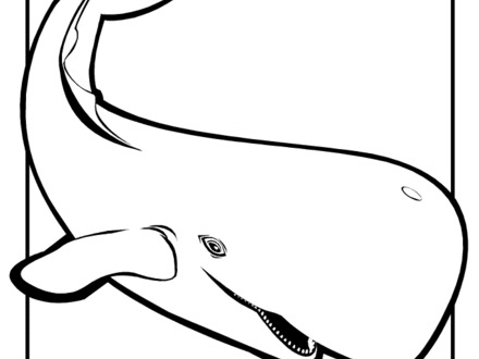 48 Orca Coloring Pages, Orca Printable Coloring Pages 440x330 48 Orca Coloring Pages, Orca Printable Coloring Pages