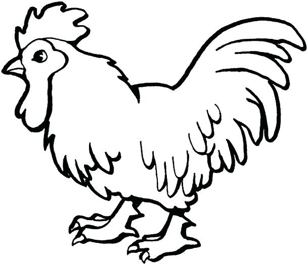 Shamu Coloring Pages Chicken Coloring Pages For Kids Printable 609x525 Shamu Coloring Pages Chicken Coloring Pages For Kids Printable