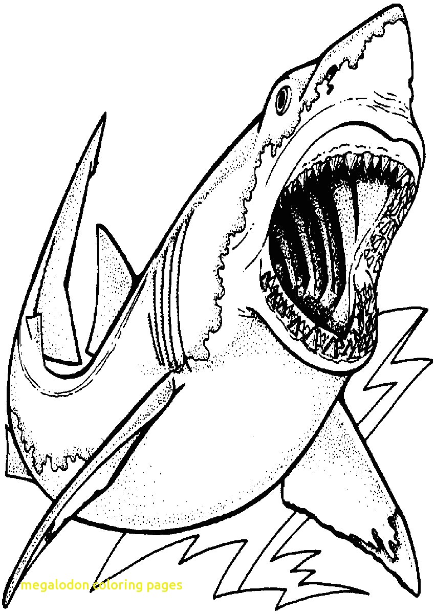 Megalodon Coloring Pages With Epic Great White Shark Coloring 850x1200 Megalodon Coloring Pages With Epic Great White Shark Coloring