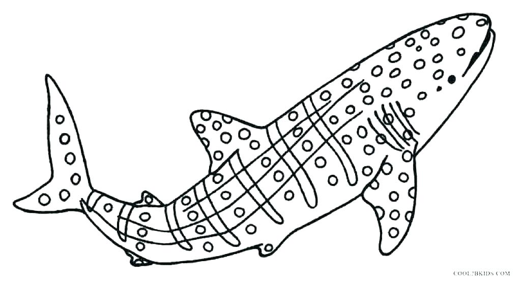 Shark Color Pages Shark Coloring Shark Coloring Book New Great 1024x557 Shark Color Pages Shark Coloring Shark Coloring Book New Great