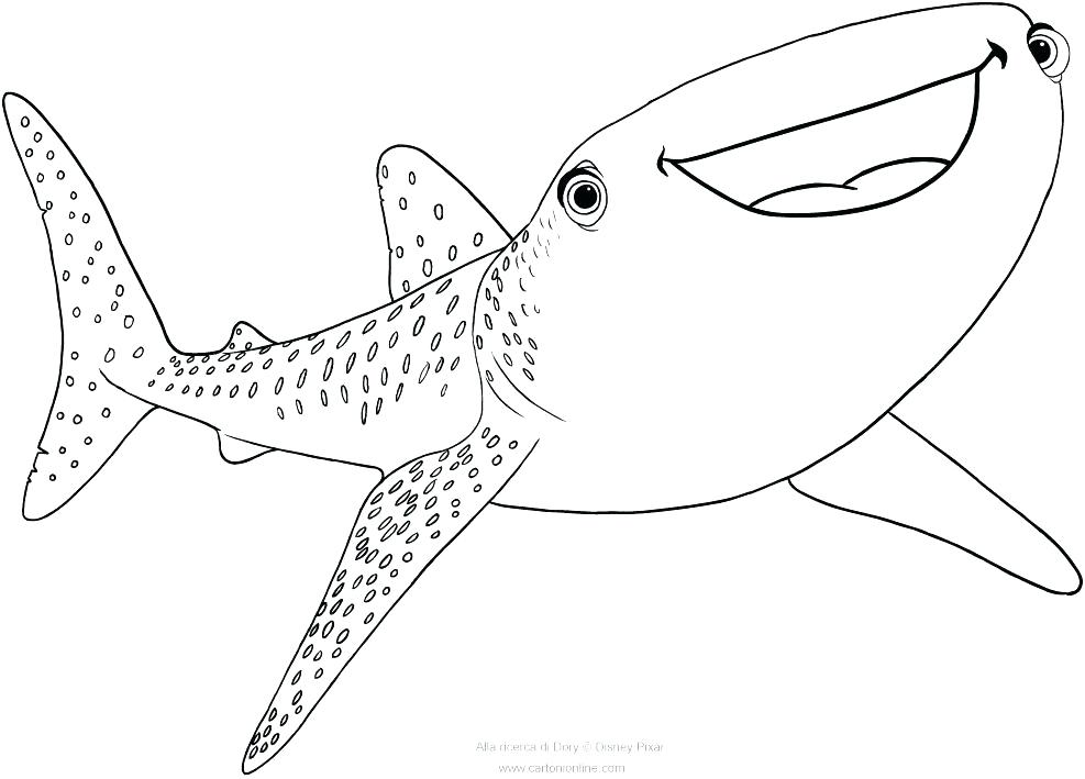 Sharks Coloring Pages Shark Pictures To Color And Print Destiny 987x709 Sharks Coloring Pages Shark Pictures To Color And Print Destiny