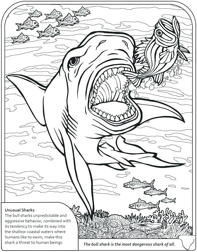 Tiger Shark Coloring Pages Shark Coloring Pages Free Coloring Page 650x830 Tiger Shark Coloring Pages Shark Coloring Pages Free Coloring Page