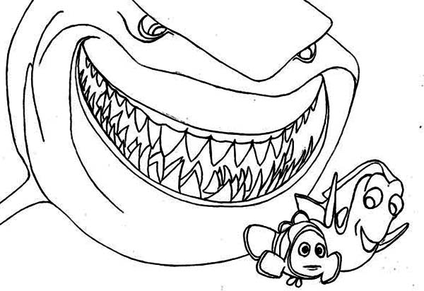 Download Shark Coloring Pages at GetColorings.com | Free printable ...