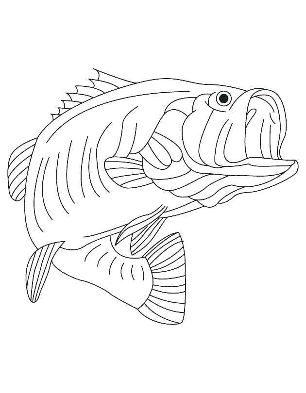 Bull Shark Coloring Pages Impair.co 630x810 Bull Shark Coloring Pages Impair.co