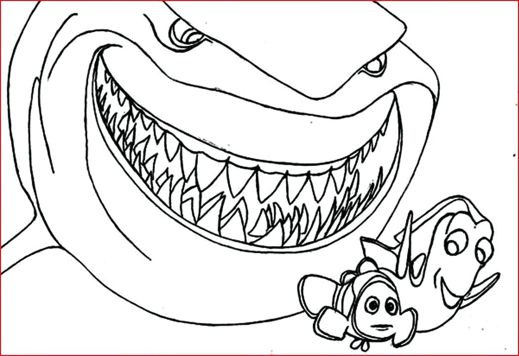 Hammerhead Shark Coloring Page Shark Coloring Pages Printable 1051x721 Hammerhead Shark Coloring Page Shark Coloring Pages Printable