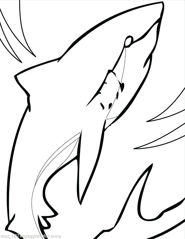 Megalodon Shark Coloring Pages Shark Coloring Pages Great White 650x841 Megalodon Shark Coloring Pages Shark Coloring Pages Great White