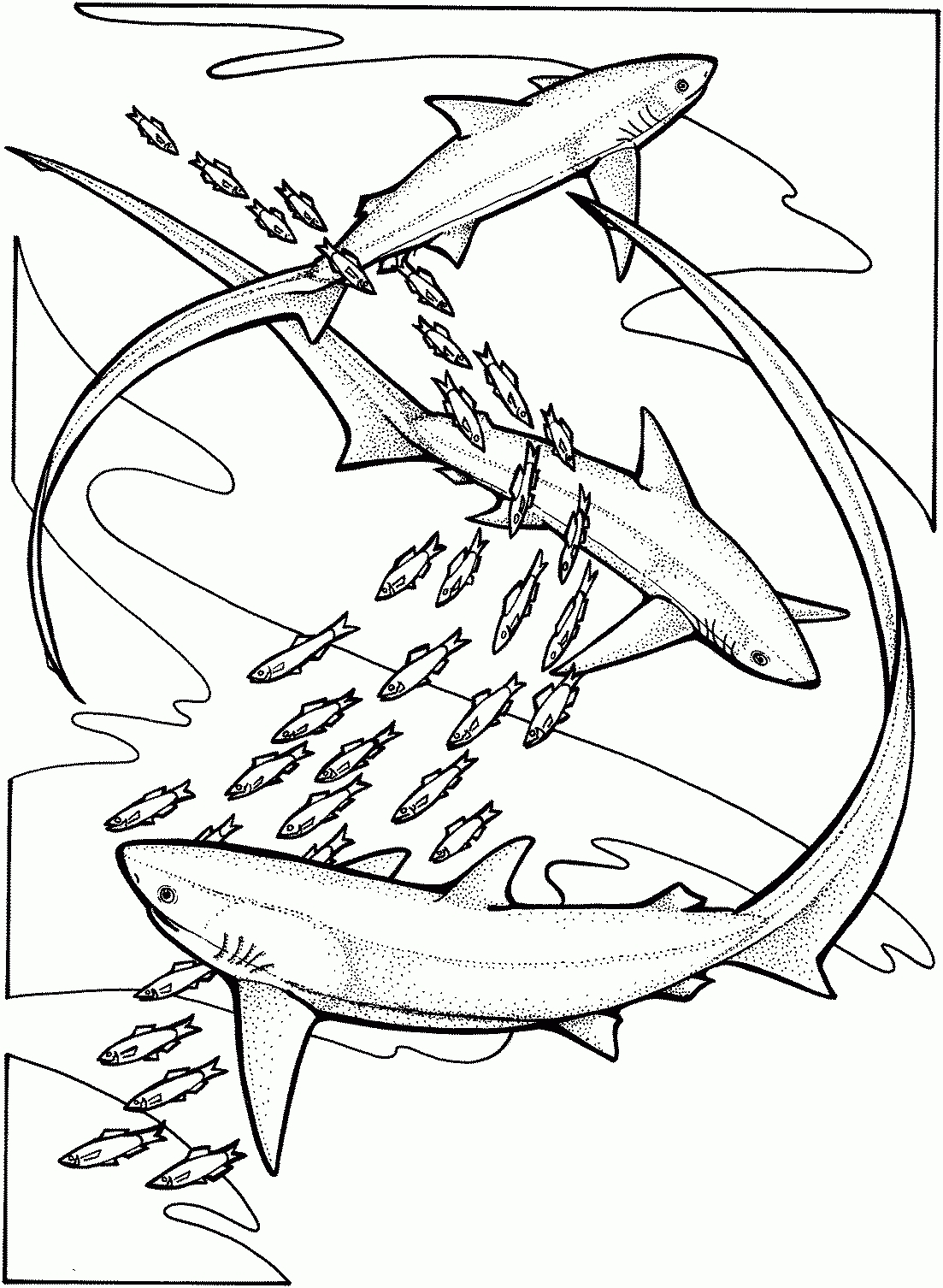 Unique Whale Shark Page To Color Gallery Printable Coloring Sheet 1103x1506 Unique Whale Shark Page To Color Gallery Printable Coloring Sheet