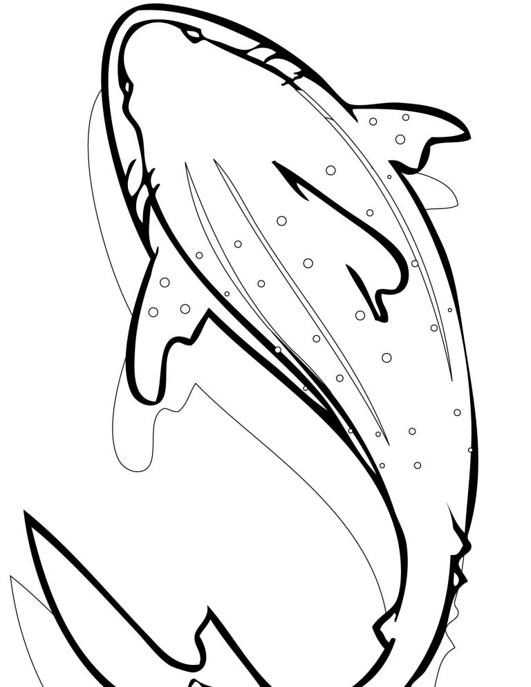 Whale Pictures To Color New Printable Shark Coloring Pages 768x994 Whale Pictures To Color New Printable Shark Coloring Pages