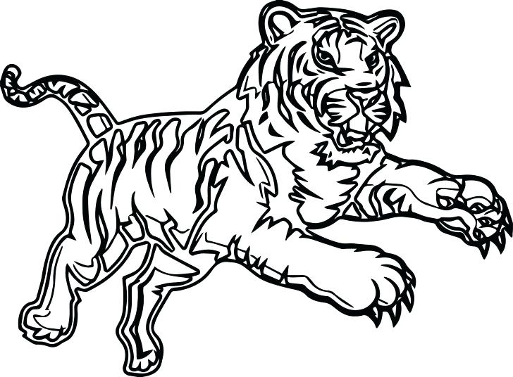 Free Printable Great White Shark Coloring Pages Tiger Pictures 728x536 Free Printable Great White Shark Coloring Pages Tiger Pictures