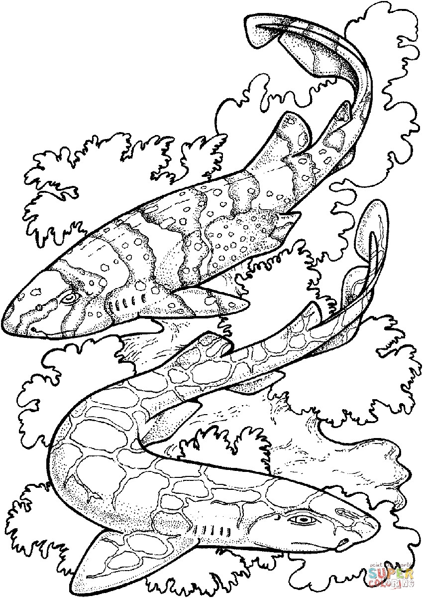 Shark Coloring Pages For Adults at GetColorings.com | Free printable