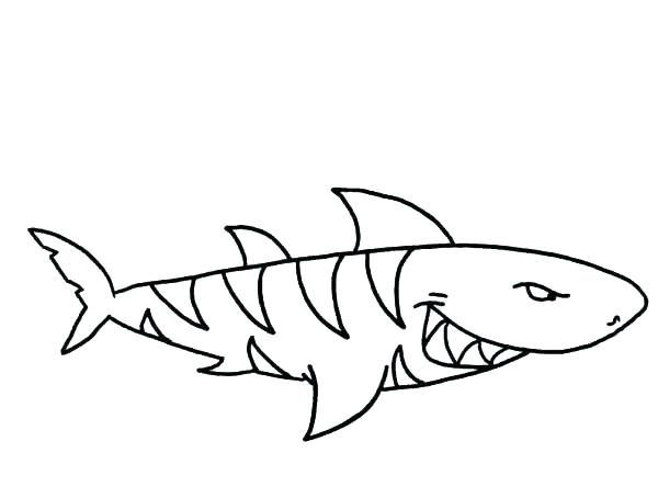 600x454 Free Printable Shark Coloring Pages Ideal Great White Shark