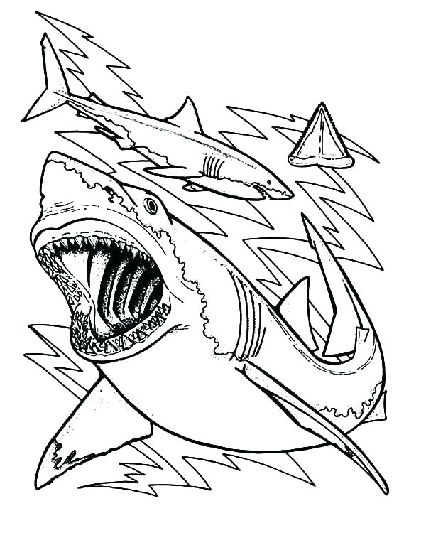 600x781 Printable Whale Shark Coloring Pages Page Of A Sharks Free Color