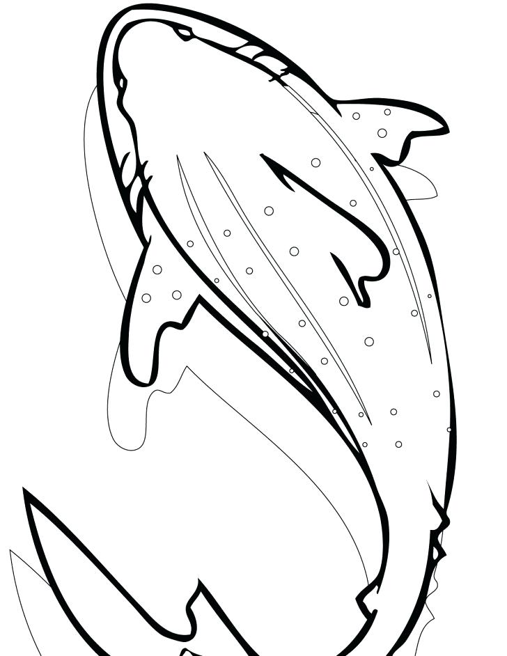 728x942 Animals Sharks Coloring Pages Bull Shark Whale Pages Whale Shark