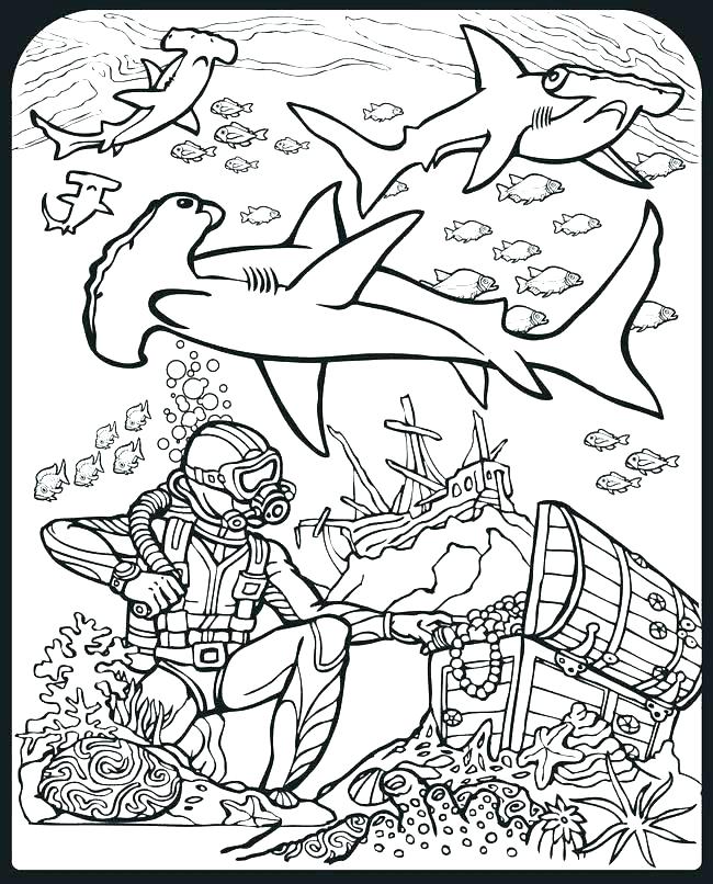 650x806 Sharks Coloring Pages Shark Color Pages Hammerhead Shark Coloring
