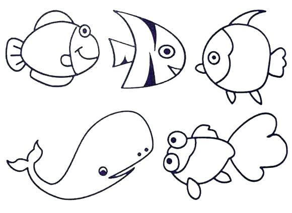 580x424 Ocean Animals Coloring Pages Creatures Sheet Of Sea Shark Free