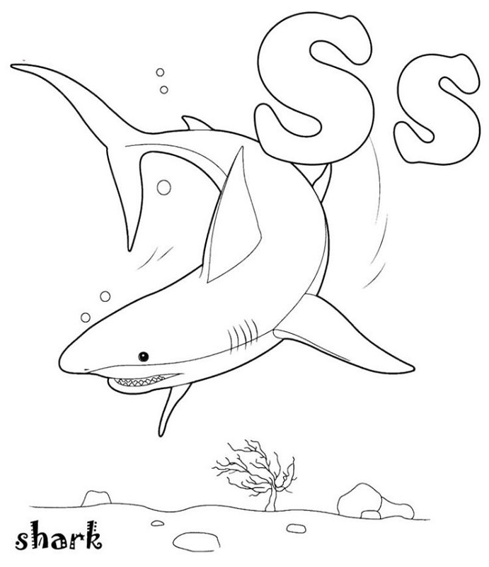 691x800 Shark Color Pages For Preschoolers Loving Printable