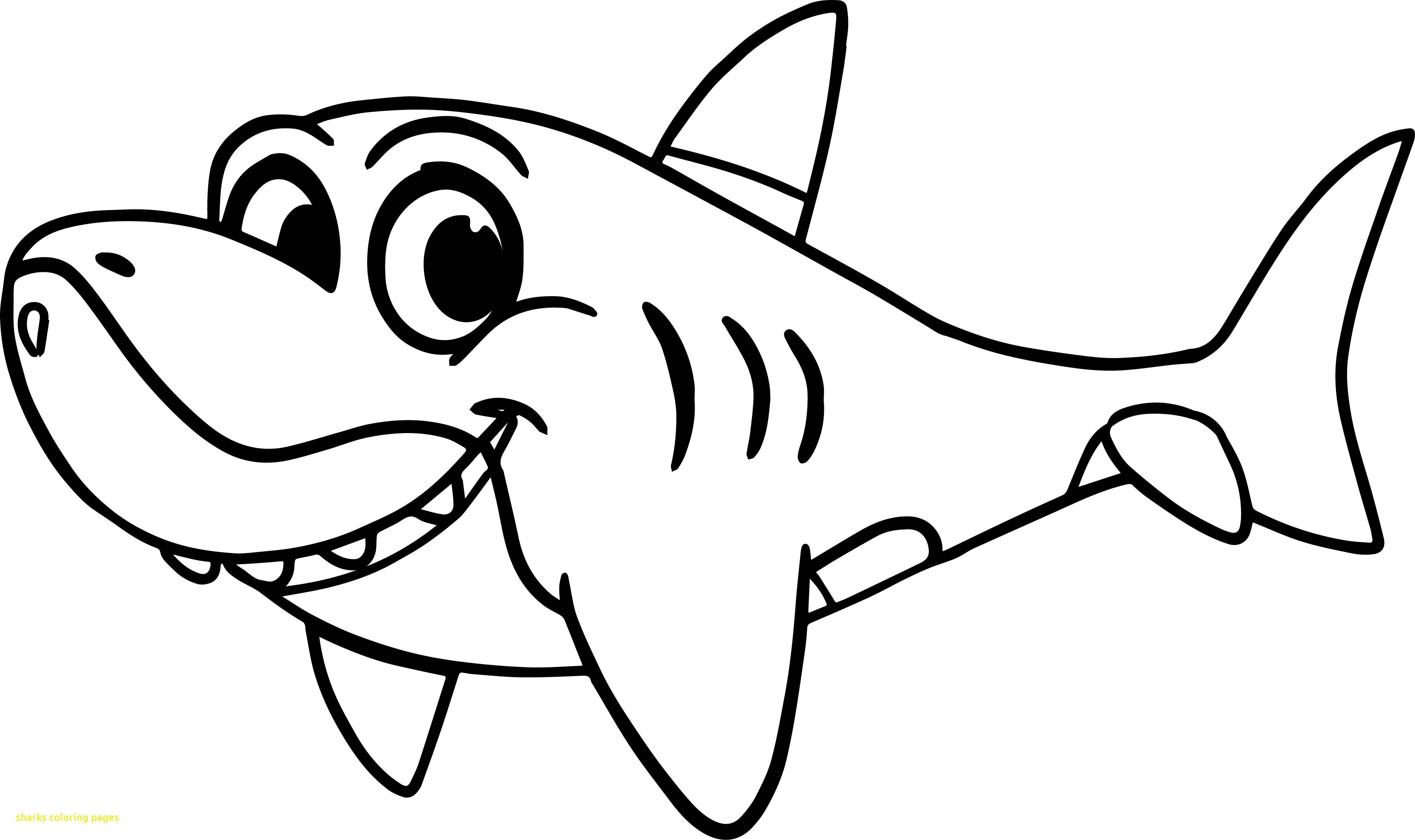3562x2116 Shark Coloring Pages