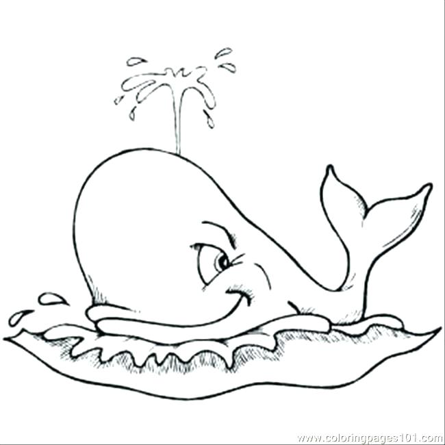 650x650 Whale Coloring Page And The Whale Coloring Pages For Preschoolers
