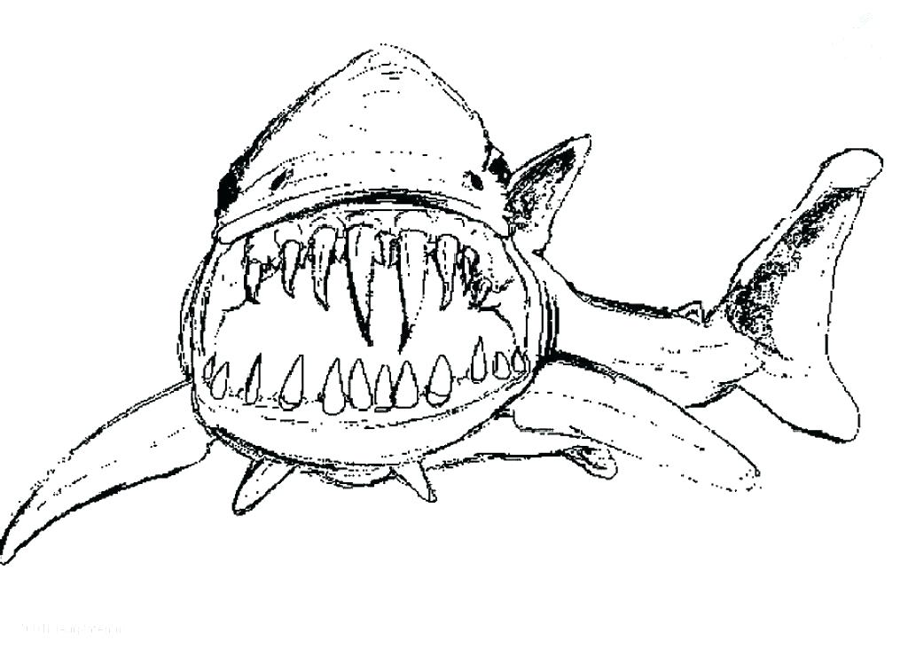 Shark Coloring Book Pages Shark Coloring Book Pages Shark Coloring 1024x740 Shark Coloring Book Pages Shark Coloring Book Pages Shark Coloring
