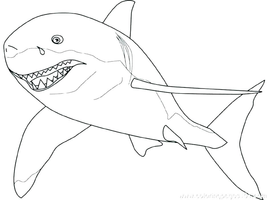 Shark Coloring Pages Printable Shark Coloring Book Shark Coloring 940x704 Shark Coloring Pages Printable Shark Coloring Book Shark Coloring