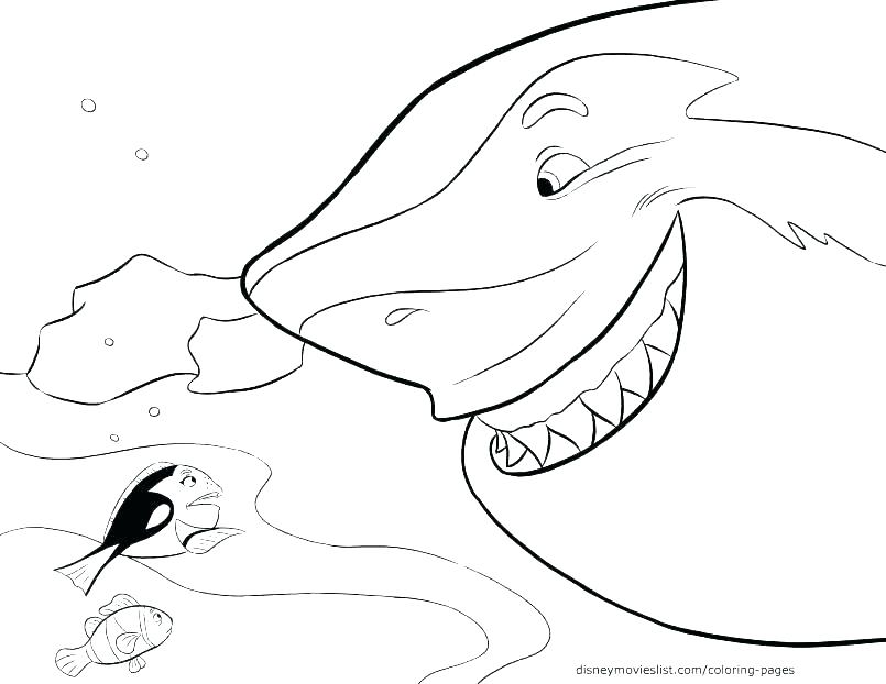 Shark Coloring Pages To Print Shark Coloring Pages Printable Great 805x622 Shark Coloring Pages To Print Shark Coloring Pages Printable Great