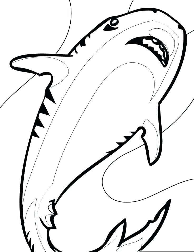 Sharks Coloring Shark Color Page Shark Tale Printable Coloring 736x952 Sharks Coloring Shark Color Page Shark Tale Printable Coloring
