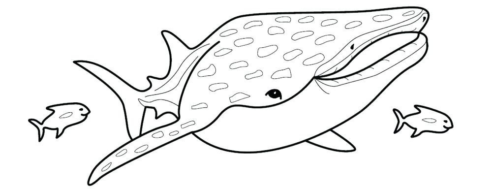 Whale Shark Coloring Pages Printable Whale Shark Coloring Pages 1000x384 Whale Shark Coloring Pages Printable Whale Shark Coloring Pages