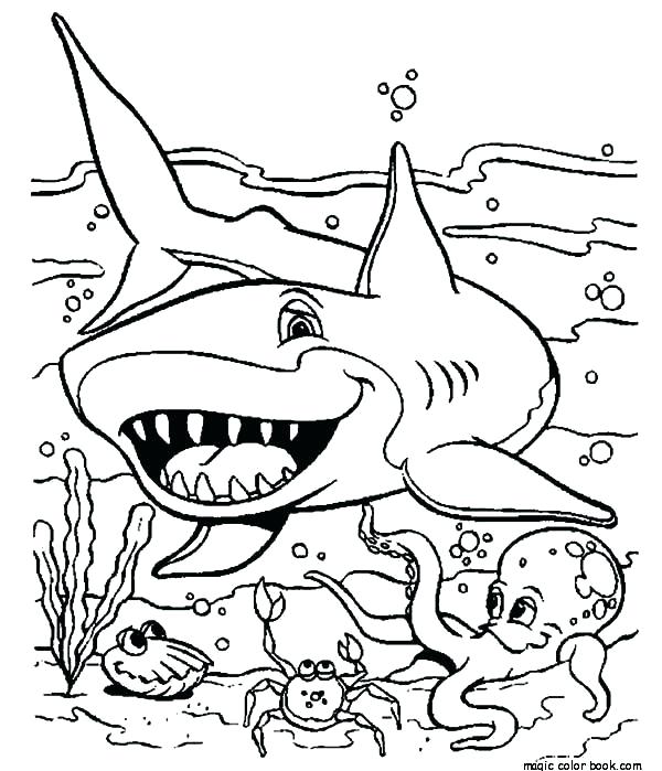 Shark Coloring Sheet 600x699 Shark Coloring Sheet