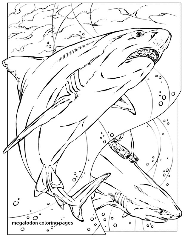 Free Printable Great White Shark Coloring Pages Fresh Megalodon 620x797 Free Printable Great White Shark Coloring Pages Fresh Megalodon